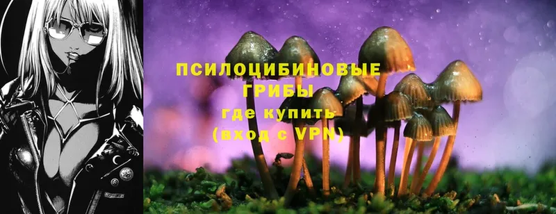 Псилоцибиновые грибы Magic Shrooms  даркнет какой сайт  Апрелевка 